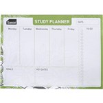 SASCO ECO SCHOOL STUDY PLANNER 210 X 150MM
