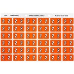 AVERY 43342 LATERAL FILE LABEL SIDE TAB YEAR CODE 2 25 X 38MM ORANGE PACK 180