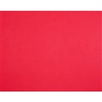 QUILL BOARD 210GSM 510 X 635MM RED