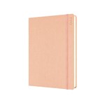 DEBDEN DESIGNER D18P51 DIARY DAY TO PAGE A5 PEACH
