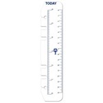 DEBDEN DAYPLANNER PR2008 PERSONAL EDITION REFILL TODAY RULERS SIZE PACK 2