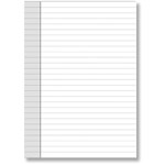 DEBDEN DAYPLANNER PR2011 PERSONAL EDITION REFILL NOTEPADS SIZE PACK 2
