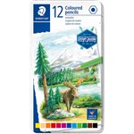 STAEDTLER 146C COLOURED PENCILS ASSORTED PACK 12