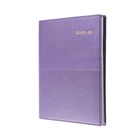 Financial Year Diaries