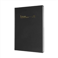 Financial Year Diaries