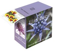 Packaging Materials