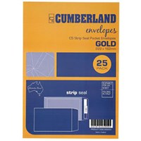 Peel N Seal Envelopes