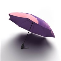 Furniture Accessories