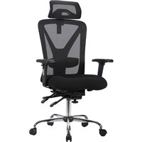 Ergonomic Chairs